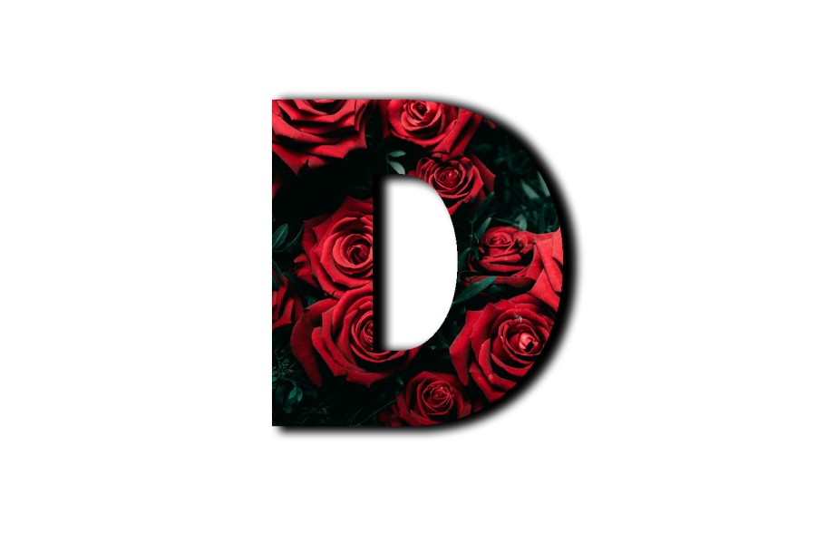 CLIPPING MASK ROSES